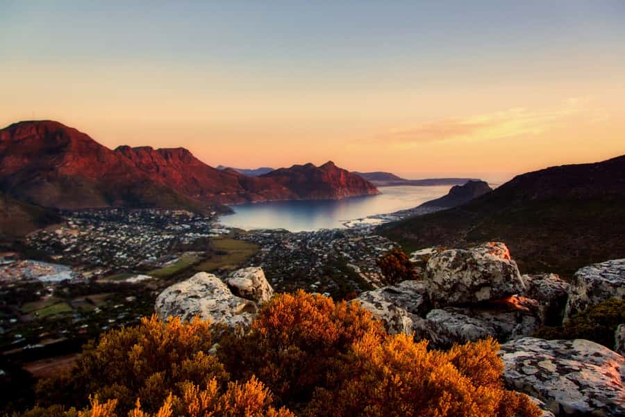 Private Cape Peninsula Half-Day Tour with Penguins - A short drive with a very full route