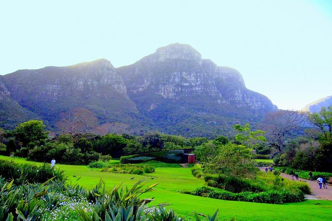 Private Cape Peninsula + Kirstenbosch Garden Full Day Guided Tour - Boulders Beach and the penguin colony
