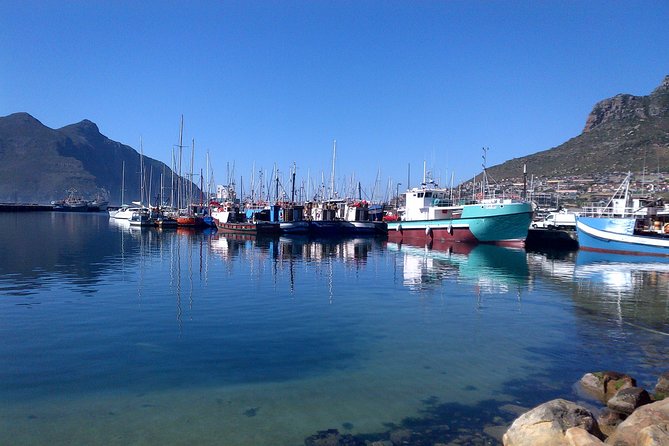 Private Cape Peninsula + Kirstenbosch Garden Full Day Guided Tour - Scarborough supplies lunch and a quieter coast