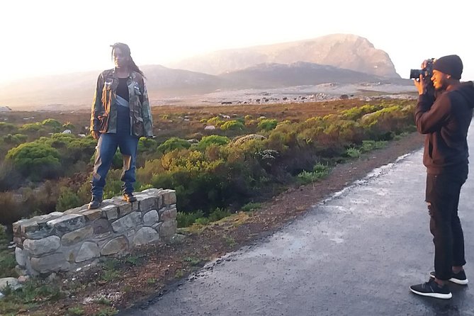 Private Cape Point Penguins Tour-Exploring the Cape Peninsula F/D - Why this Cape Peninsula tour works as a one-day introduction
