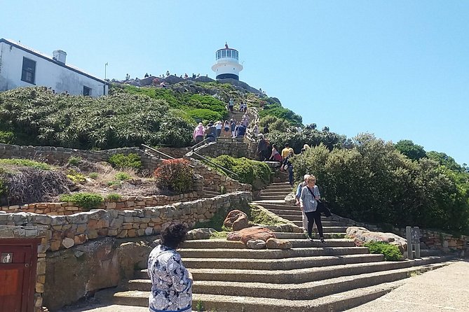 Private Cape Point Penguins Tour-Exploring the Cape Peninsula F/D - Cape of Good Hope and the southwestern tip
