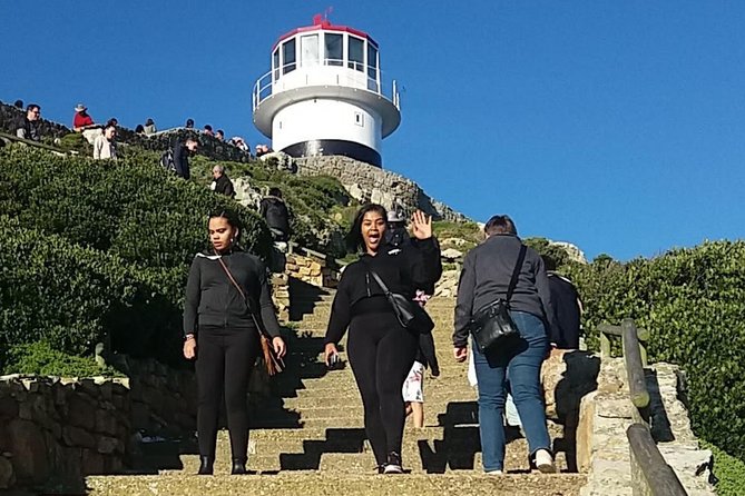 Private Cape Point Penguins Tour-Exploring the Cape Peninsula F/D - Simon’s Town and the Boulders Beach penguins