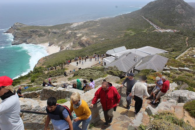 Private Cape Point Penguins Tour-Exploring the Cape Peninsula F/D - Starting with Bo-Kaap’s painted houses and Cape Town history