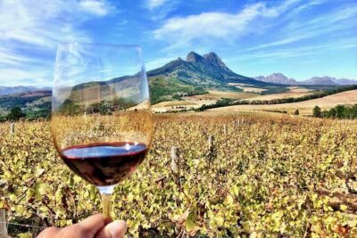 Private Cape Town City Tour table Mountain with wine tasting