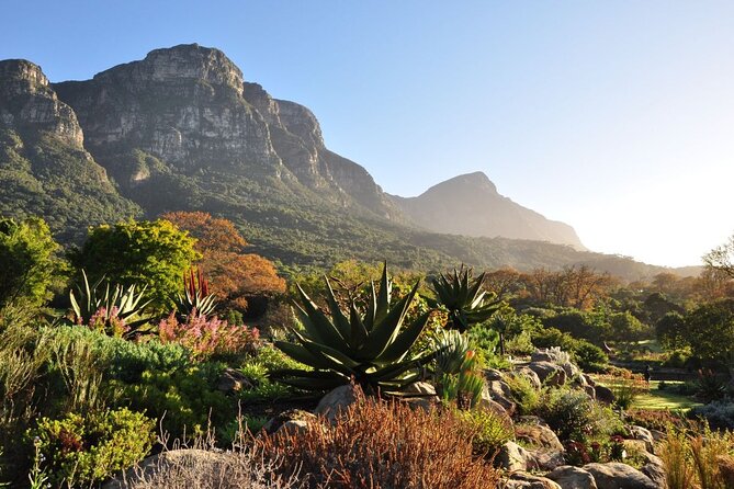 Private Cape Town City Tour table Mountain with wine tasting - Maiden’s Cove: a quick Atlantic coast pause