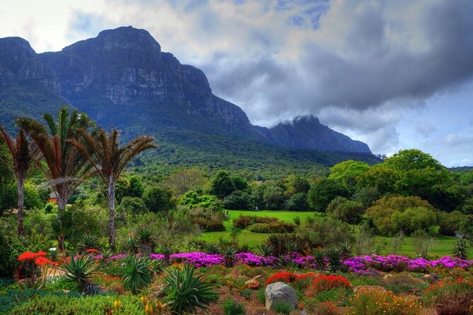 Private Cape Town City Tour table Mountain with wine tasting - World of Birds in Hout Bay