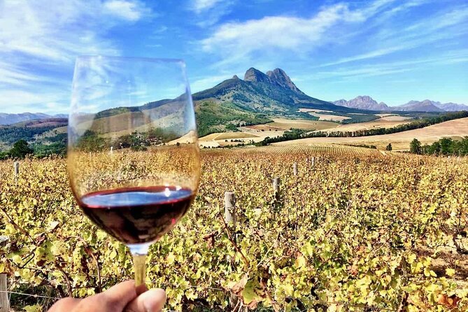 Private Cape Town City Tour table Mountain with wine tasting - Table Mountain: the day’s essential view