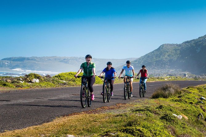 Private Cycling Tour of The Cape Peninsula from Cape Town - Cape Point and the cliffs above Diaz Beach