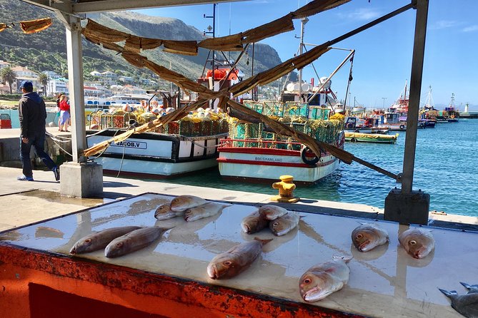 Private Day Tour to Cape Point , Penguins, Wine or Beer Tasting - Cape of Good Hope and the Cape Point lighthouse