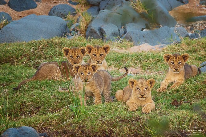 Private Full Day Safari (10 hours) in Kruger National Park - Why this private Kruger day works