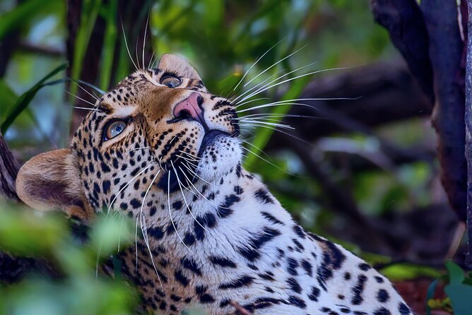 Private Full Day Safari (10 hours) in Kruger National Park - The Olifants River return route
