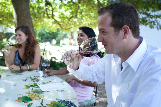 Private Full Day Stellenbosch Wine Tour with Pick Up and Drop Off - Why the guide can make or break the day