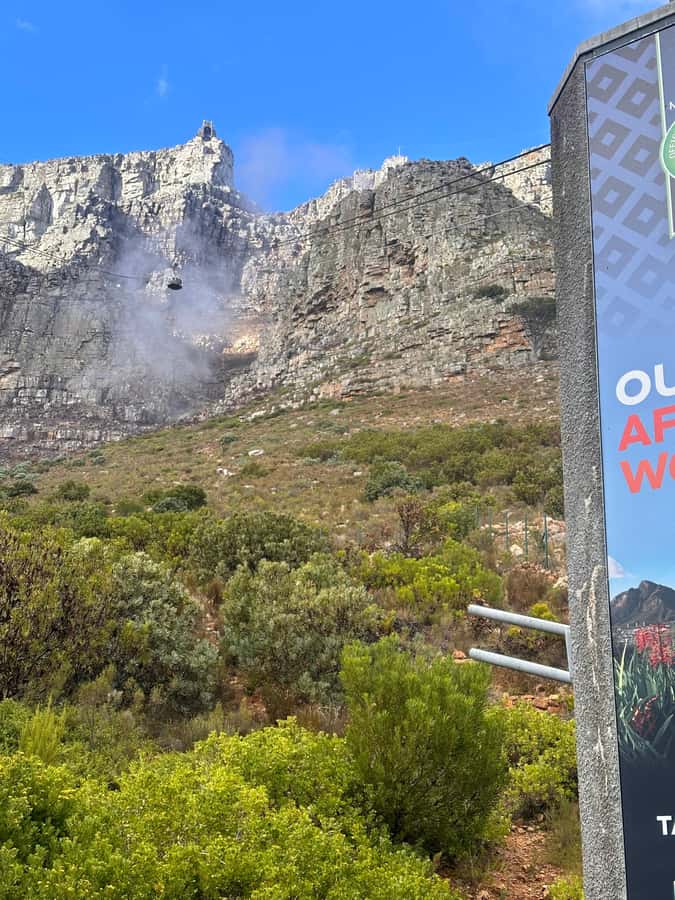 Private Full Day Tour to Robben Island and Table Mountain - Should you book it?