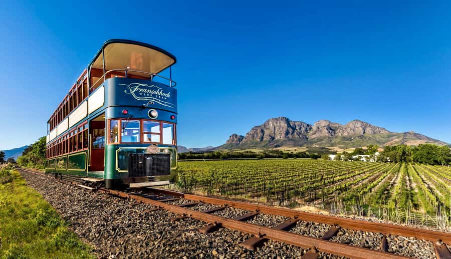 Private Full-Day Winelands Tour in Stellenbosch - Three wine estates, two historic towns, one long day