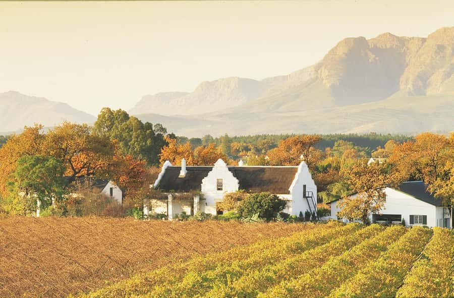 Private Full-Day Winelands Tour in Stellenbosch - Stellenbosch brings wine and Cape Dutch charm together