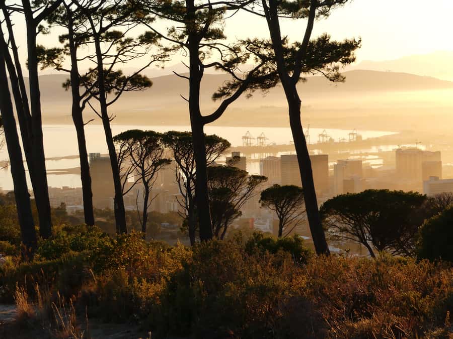 Private Guided Half-Day City Tour with Table Mountain - Key points to know before you book