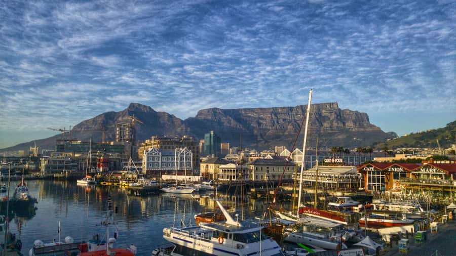 Private Guided Half-Day City Tour with Table Mountain - The guide can shape the whole experience