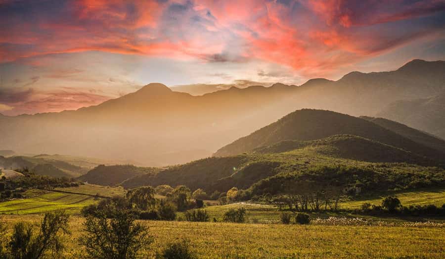 Private Oudtshoorn Full Day Tour - Key points at a glance