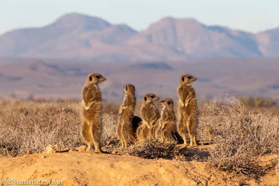 Private Oudtshoorn Full Day Tour - Timing, packing, and practical advice