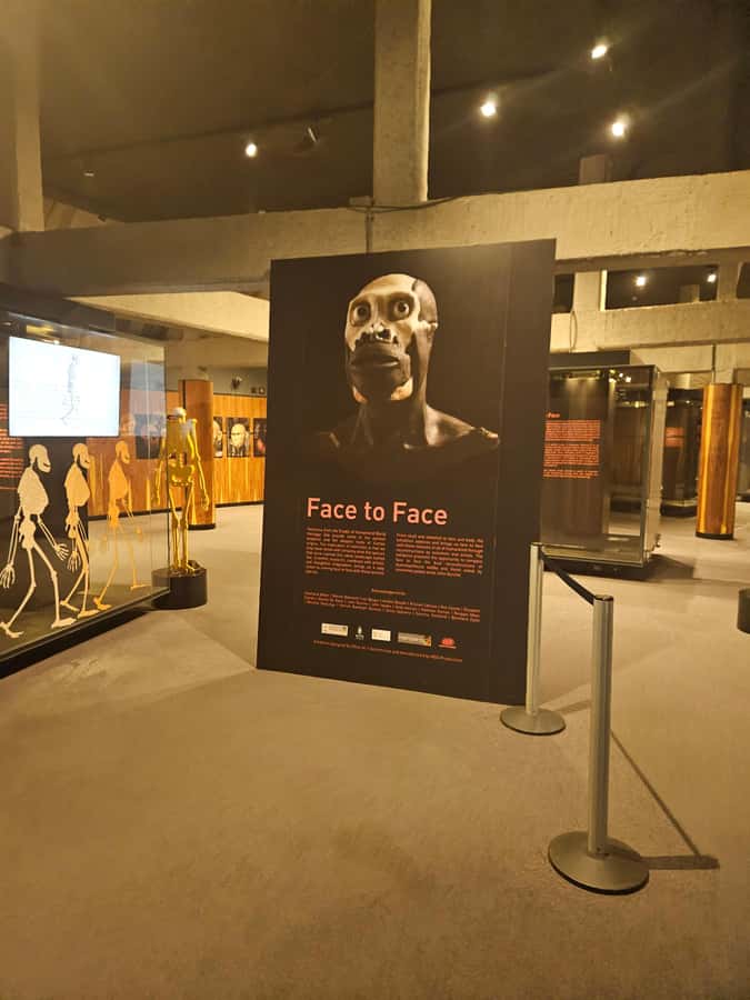 Private Rhino and Lion Park, Cradle Caves or Maropeng Museum - Maropeng Museum and the story of human origins