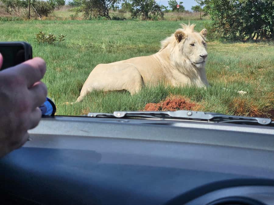 Private Rhino and Lion Park, Cradle Caves or Maropeng Museum - Sterkfontein Caves and Little Foot