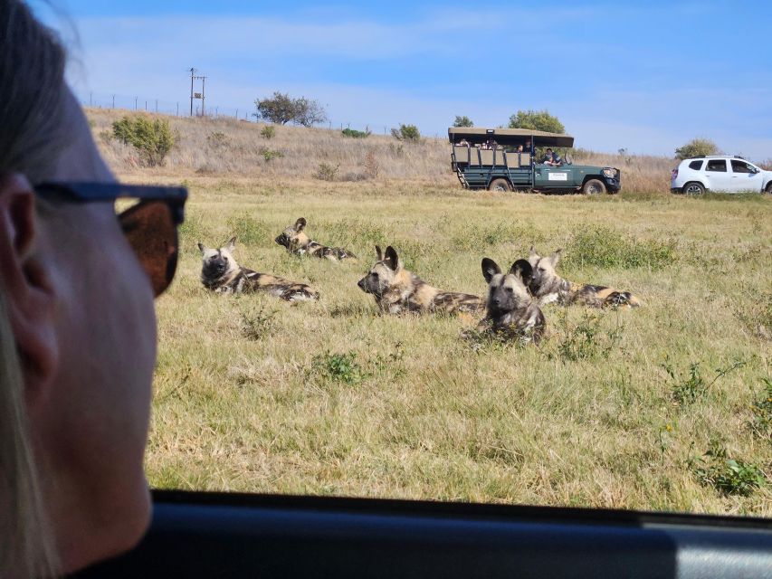 Private Rhino and Lion Park, Cradle Caves or Maropeng Museum - Price, extra fees, and overall value