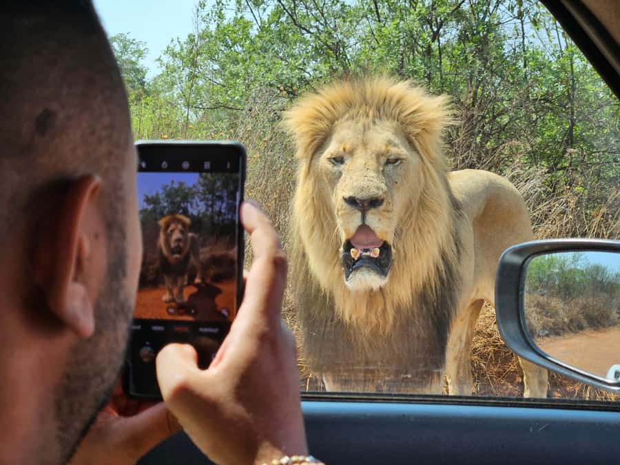 Private Rhino and Lion Park, Cradle Caves or Maropeng Museum - The drive from Johannesburg or Pretoria