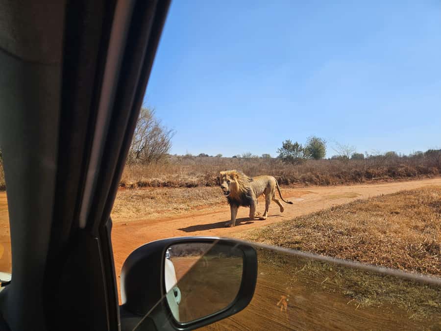 Private Safari. Cradle Humankind Caves or Maropeng Museum - Why the museum belongs on this day