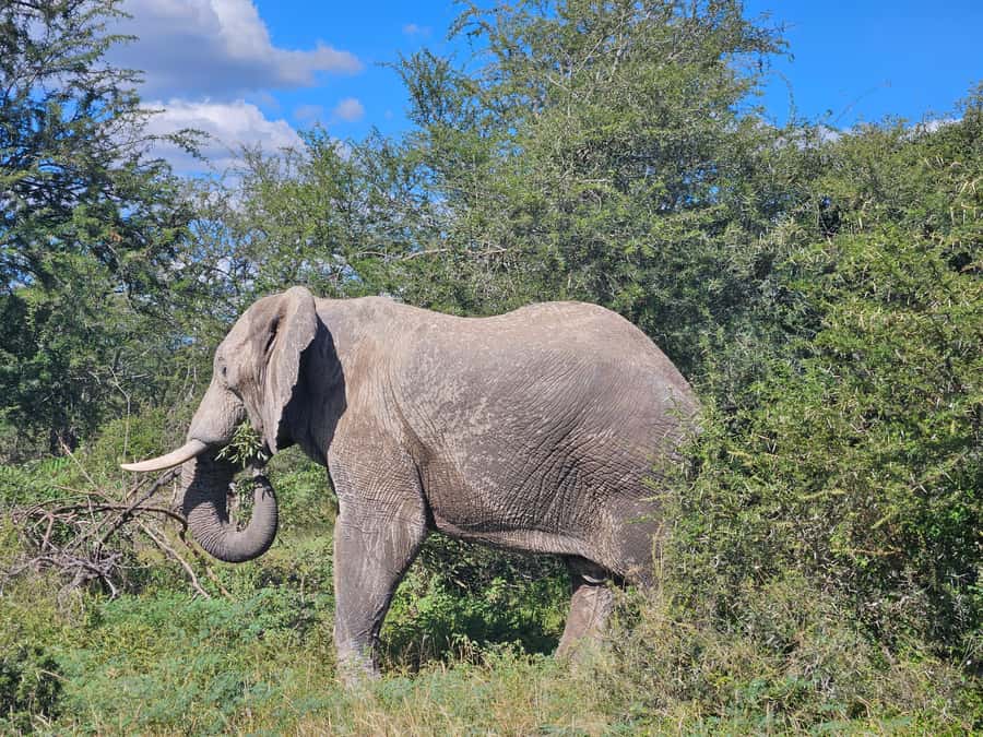 Private Safari Tour: Pilansberg National Park Big 5 - Entering Pilanesberg beside Sun City