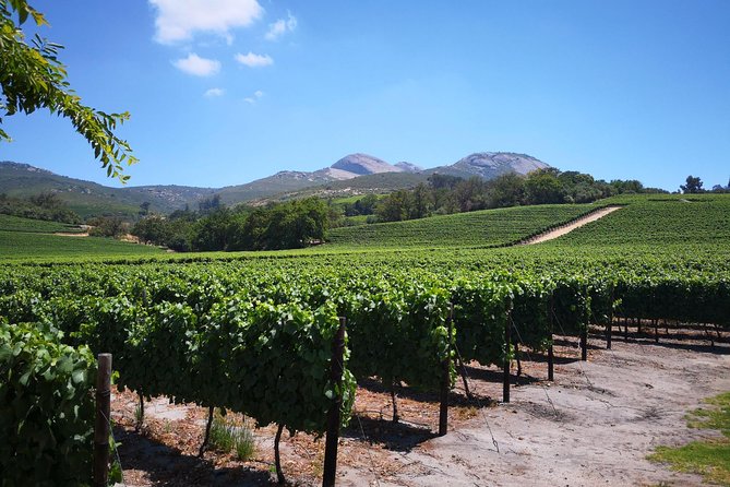 Private Stellenbosch, Franschhoek Paarl Wine Tour from Cape Town - Why this private Winelands tour works well from Cape Town