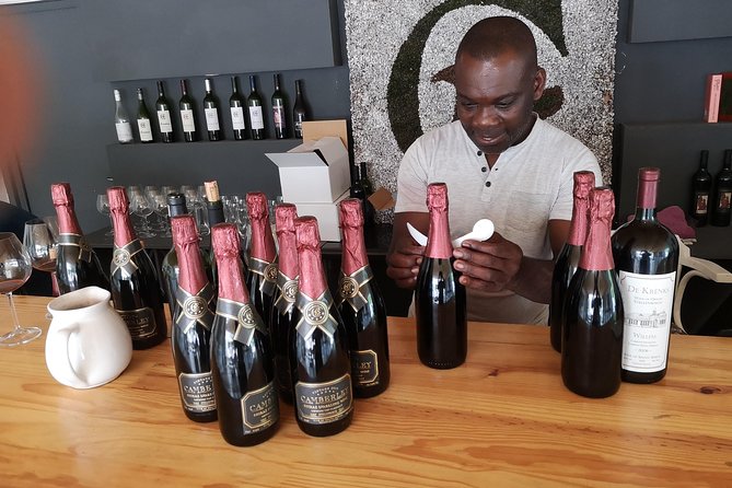 Private Stellenbosch, Franschhoek Paarl Wine Tour from Cape Town - Guides who shape the day