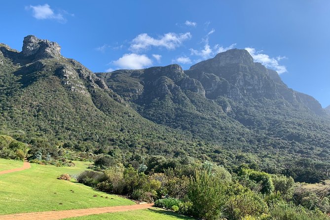 Private Table Mountain, Kirstenbosch and Constantia Wine Tasting. - What the $225 price really covers