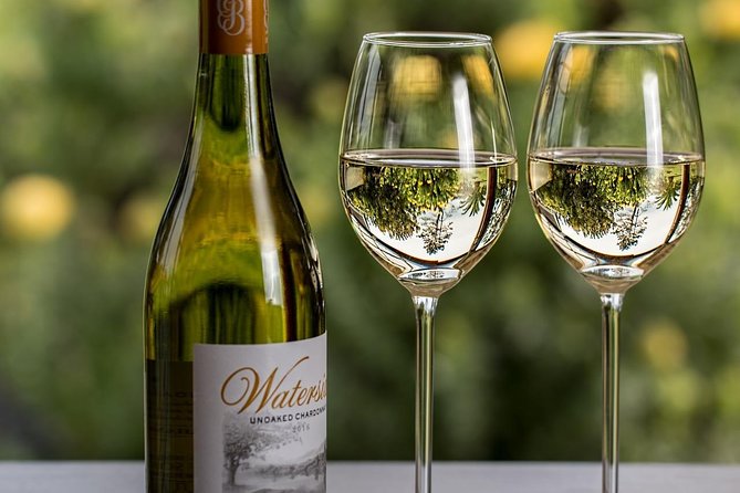 Private Table Mountain, Kirstenbosch and Constantia Wine Tasting. - The guide can shape the day