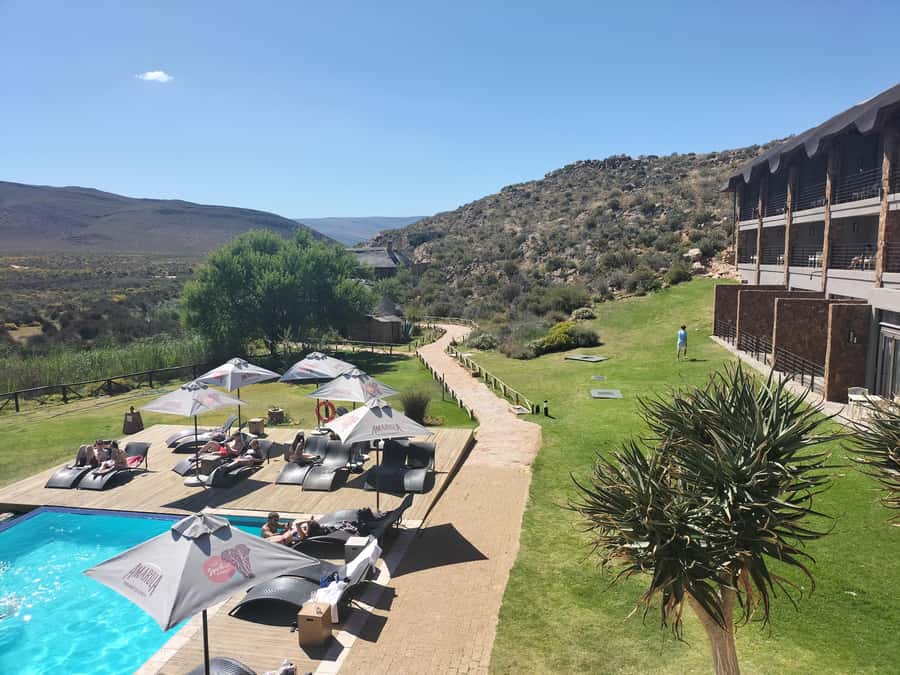Private Tour: Big 5 Safari, Experience the wild animals - Why this safari works from Cape Town