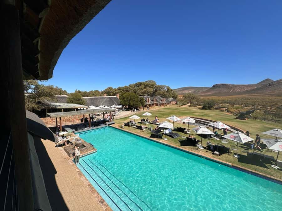 Private Tour: Big 5 Safari, Experience the wild animals - What the $345 price really covers