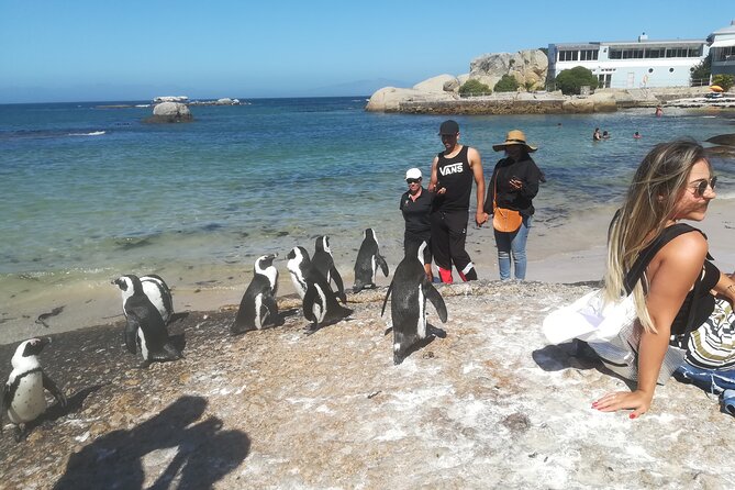 Private Tour : Cape of Good Hope,Penguin Colony& Muizenberg Beach - Cape of Good Hope and Cape Point: the day’s main event