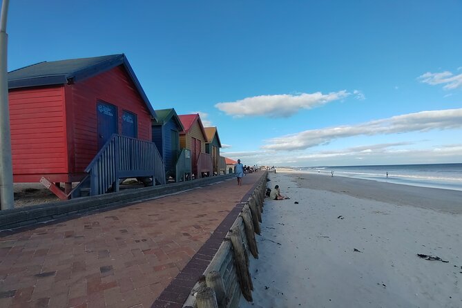 Private Tour : Cape of Good Hope,Penguin Colony& Muizenberg Beach - Who will get the most from this tour