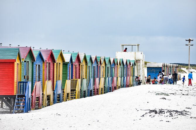 Private Tour Cape of Good Hope & Penguins Sightseeing Full day - Cape Point Nature Reserve and the southwestern edge of Africa