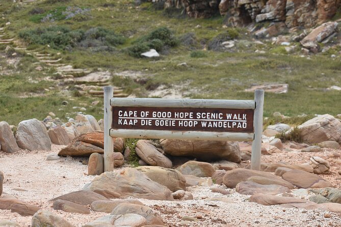 Private Tour Cape of Good Hope & Penguins Sightseeing Full day - Guides, cars, and the value of a private day