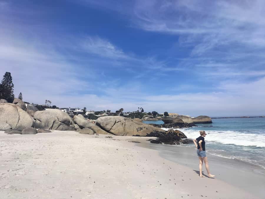 Private Tour:Cape Peninsula &Penguin Beach, Cape Point &more - What the private format changes