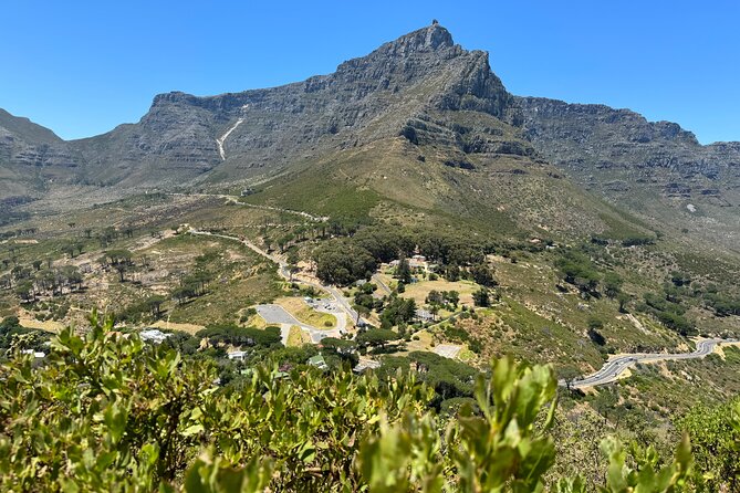Private Tour:Cape Peninsula &Penguin Beach, Cape Point &more - From Sea Point to Maiden’s Cove