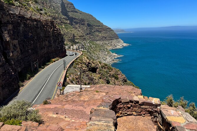 Private Tour:Cape Peninsula &Penguin Beach, Cape Point &more - Meeting the penguins at Boulders Beach