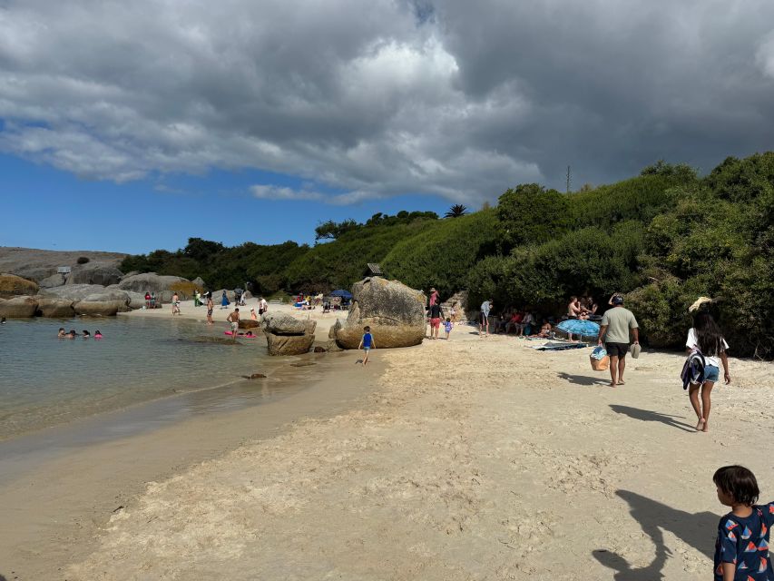 Private Tour: Cape Point, Penguins, Chapmans Peak & more... - Boulders Beach and the African penguin colony