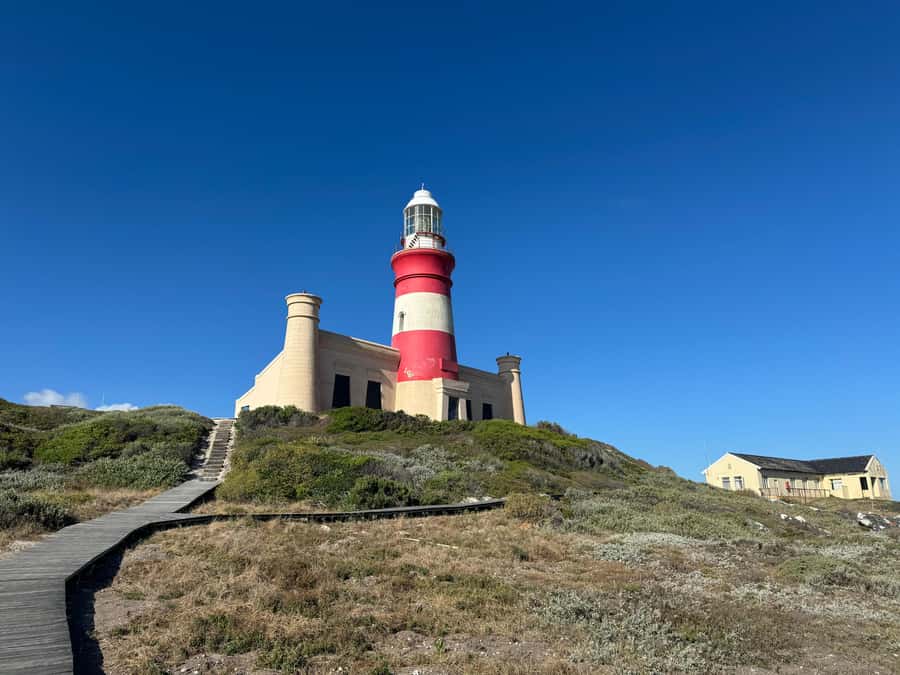 Private Tour: Cape Town to Cape Agulhas where 2 Oceans Meet - Betty’s Bay brings you close to African penguins