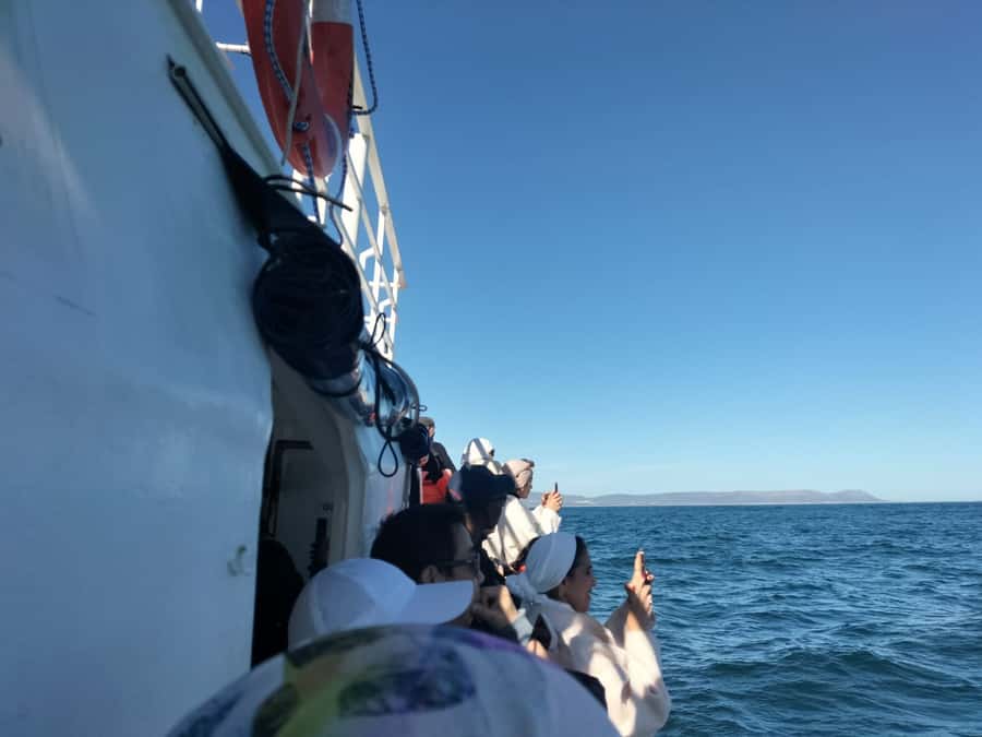 Private Tour: Hermanus- Boat Based Whale Watching Experience - Why this Hermanus day works so well
