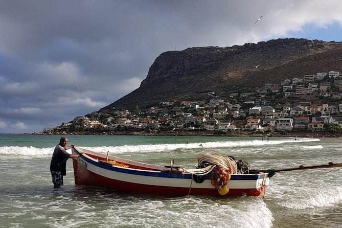 Private Tour Of Penguins, Cape Of Good Hope & Peninsula. - Cape Point and the Cape of Good Hope need clear planning