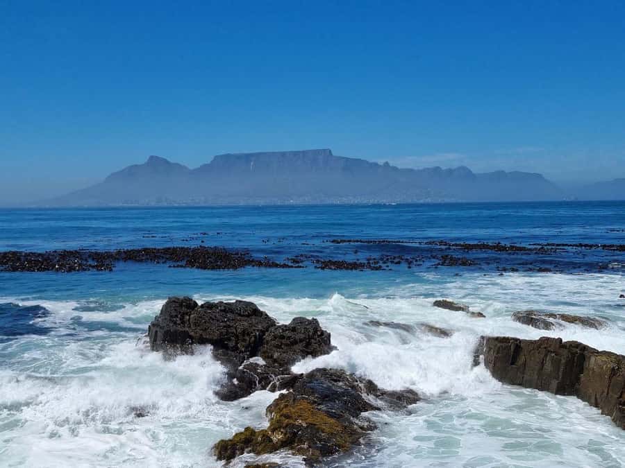 Private Tour: Robben Island, City Tour and Table Mountain - Is the $175 price good value?