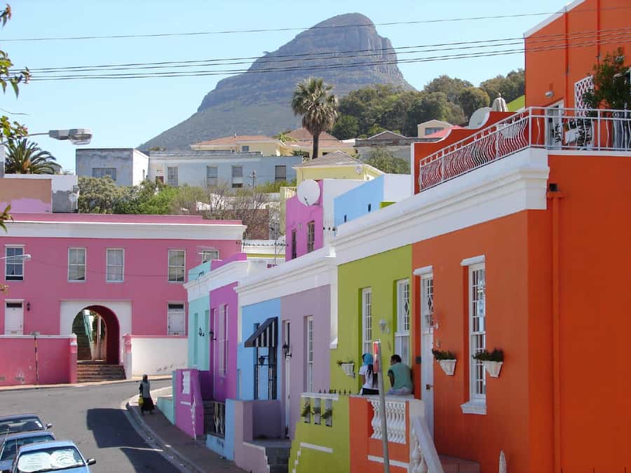 Private Tour: Table Mountain, Penguins Colony & Cape Of Good - Francis and Patrick give the tour a personal edge
