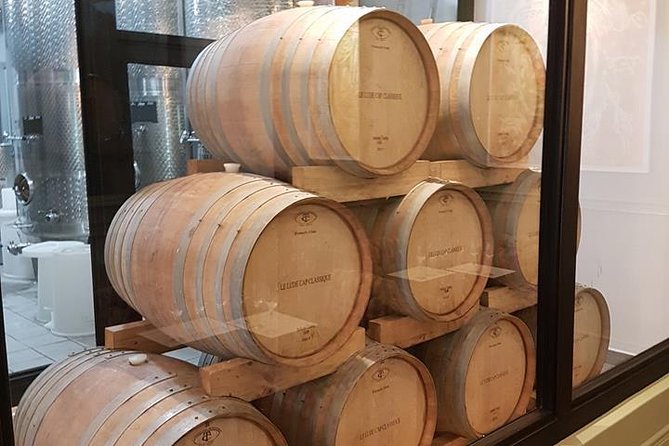 Private Wine Tour with Wine Expert to Stellenbosch-Franschhoek Wine Regions - Why the private format matters in the Winelands