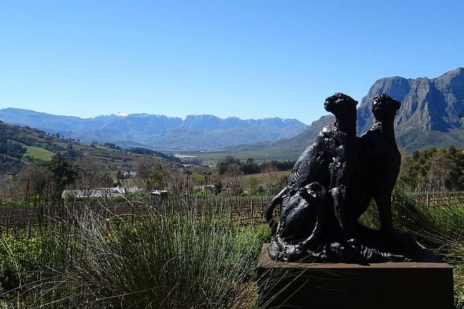 Private Wine Tour with Wine Expert to Stellenbosch-Franschhoek Wine Regions - What four 45-minute tastings feel like